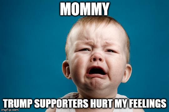 BABY CRYING | MOMMY; TRUMP SUPPORTERS HURT MY FEELINGS | image tagged in baby crying | made w/ Imgflip meme maker