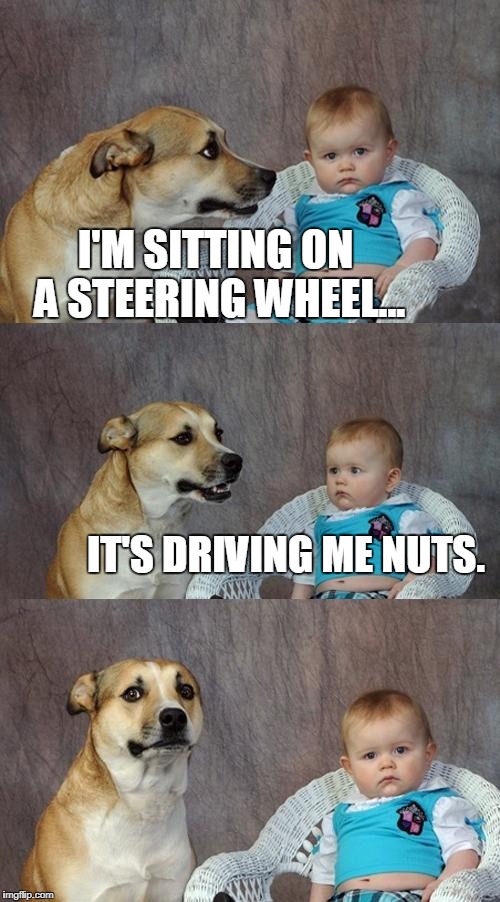 Dad Joke Dog Meme | I'M SITTING ON A STEERING WHEEL... IT'S DRIVING ME NUTS. | image tagged in memes,dad joke dog | made w/ Imgflip meme maker