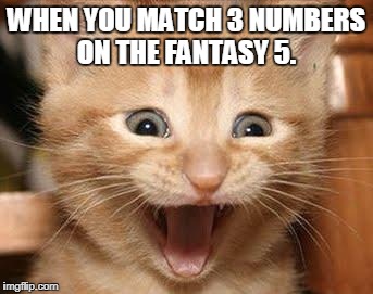 Excited Cat Meme | WHEN YOU MATCH 3 NUMBERS ON THE FANTASY 5. | image tagged in memes,excited cat | made w/ Imgflip meme maker