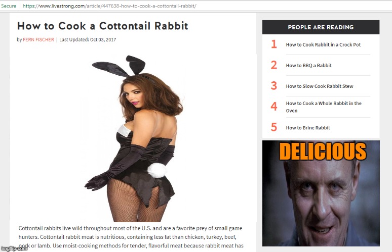 Hannibal Lecter Cookbook | DELICIOUS | image tagged in memes,cooking,hannibal lecter,playboy bunny,nsfw | made w/ Imgflip meme maker