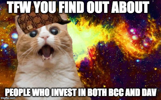 Mind Blown cat | TFW YOU FIND OUT ABOUT; PEOPLE WHO INVEST IN BOTH BCC AND DAV | image tagged in mind blown cat,scumbag | made w/ Imgflip meme maker