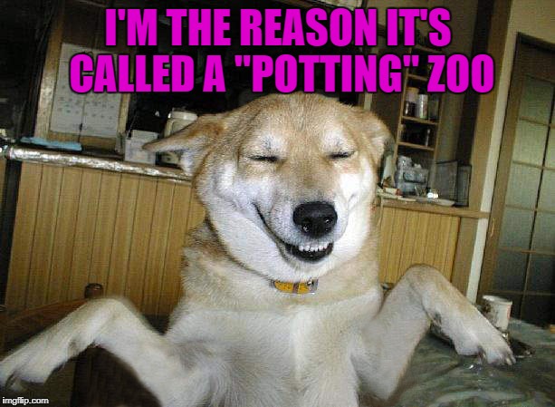 I'M THE REASON IT'S CALLED A "POTTING" ZOO | made w/ Imgflip meme maker