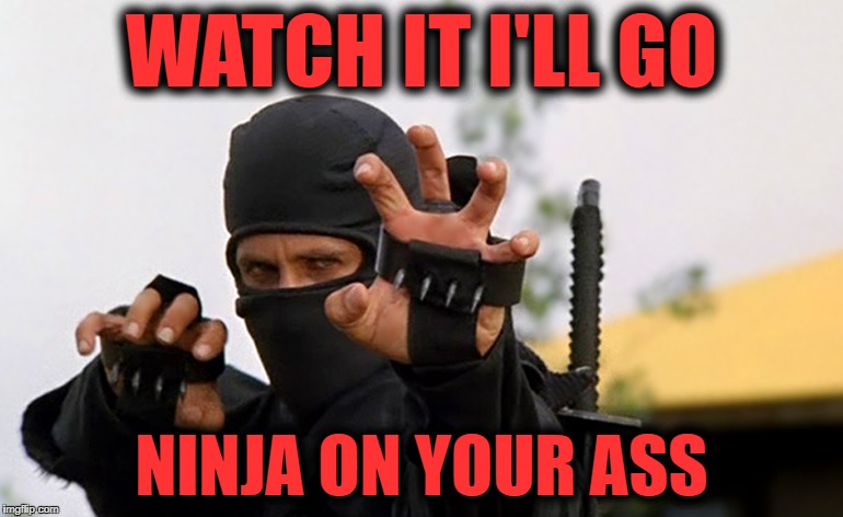 American Ninja | WATCH IT I'LL GO; NINJA ON YOUR ASS | image tagged in ninja,dudikoff,michael,michael dudikoff,american | made w/ Imgflip meme maker