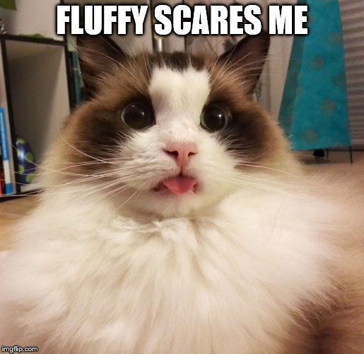 FLUFFY SCARES ME | made w/ Imgflip meme maker