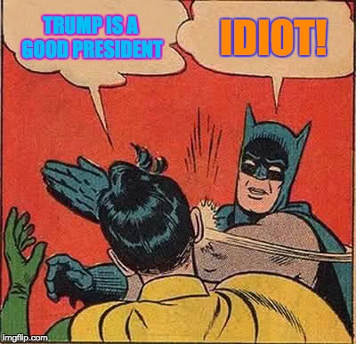 Batman Slapping Robin Meme | TRUMP IS A GOOD PRESIDENT; IDIOT! | image tagged in memes,batman slapping robin | made w/ Imgflip meme maker