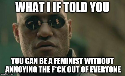 Matrix Morpheus Meme | WHAT I IF TOLD YOU YOU CAN BE A FEMINIST WITHOUT ANNOYING THE F*CK OUT OF EVERYONE | image tagged in memes,matrix morpheus | made w/ Imgflip meme maker