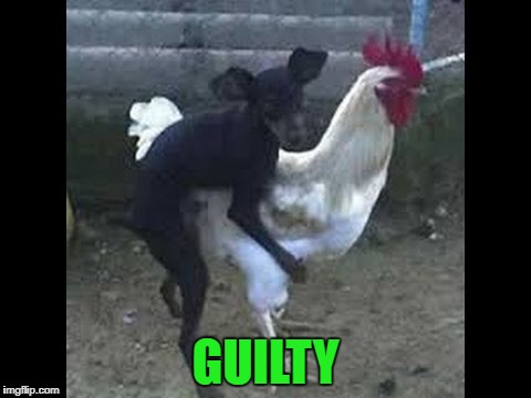 GUILTY | made w/ Imgflip meme maker