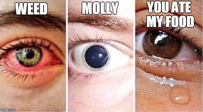 Comparing side effects: the eyes are the windows to the soul | MOLLY; YOU ATE MY FOOD; WEED | image tagged in weed,molly,side effects,food,crying,memes | made w/ Imgflip meme maker