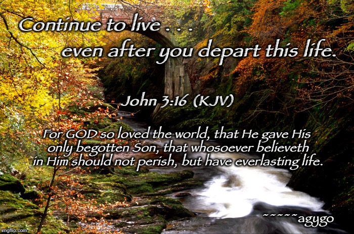 Everlasting Life | Continue to live . . . even after you depart this life. John 3:16 (KJV); For GOD so loved the world, that He gave His only begotten Son, that whosoever believeth in Him should not perish, but have everlasting life. ~~~~~agygo | image tagged in memes,there is hope,living,grace | made w/ Imgflip meme maker