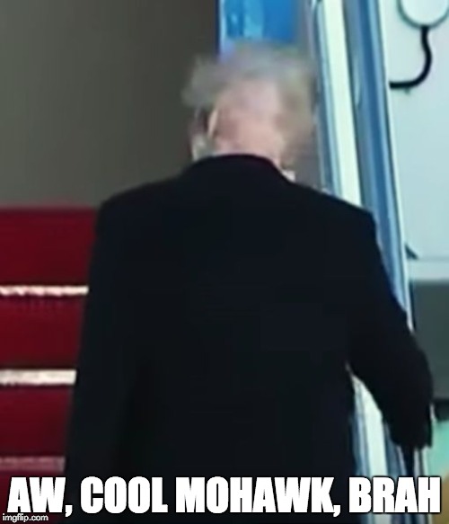 Mohawk Trump | AW, COOL MOHAWK, BRAH | image tagged in mohawk,hair,bad hair day,president trump,loser,winning | made w/ Imgflip meme maker