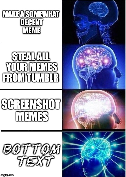 Expanding Brain Meme | MAKE A SOMEWHAT DECENT MEME; STEAL ALL YOUR MEMES FROM TUMBLR; SCREENSHOT MEMES; BOTTOM TEXT | image tagged in memes,expanding brain | made w/ Imgflip meme maker