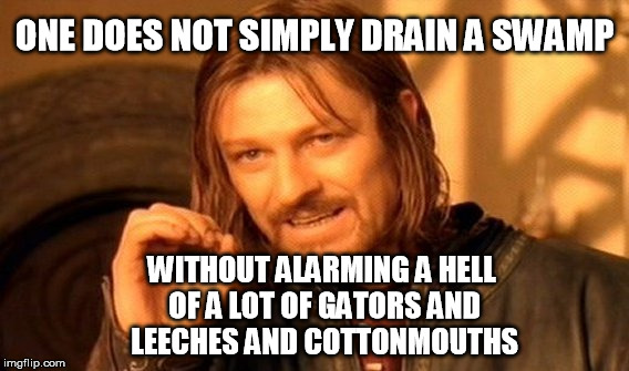 DC desperately needs a draining, but you have to plan on blowback | ONE DOES NOT SIMPLY DRAIN A SWAMP; WITHOUT ALARMING A HELL OF A LOT OF GATORS AND LEECHES AND COTTONMOUTHS | image tagged in memes,one does not simply,drain the swamp,trump,maga,corruption | made w/ Imgflip meme maker