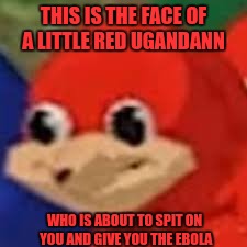 I spit on you and give you ebola ! | THIS IS THE FACE OF A LITTLE RED UGANDANN; WHO IS ABOUT TO SPIT ON YOU AND GIVE YOU THE EBOLA | image tagged in ebola,ugandan knuckles,red ugandan,meme,vr chat | made w/ Imgflip meme maker