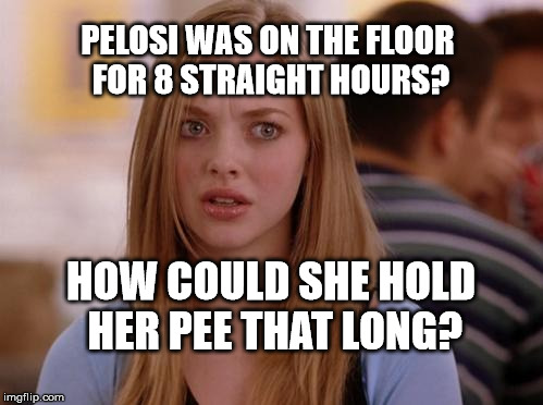OMG Karen | PELOSI WAS ON THE FLOOR FOR 8 STRAIGHT HOURS? HOW COULD SHE HOLD HER PEE THAT LONG? | image tagged in memes,omg karen | made w/ Imgflip meme maker