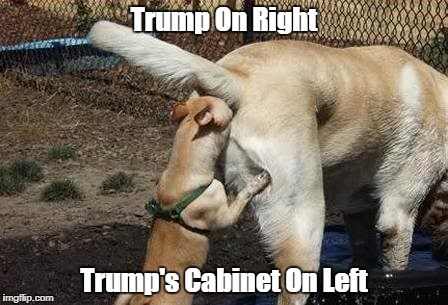 Trump On Right Trump's Cabinet On Left | made w/ Imgflip meme maker