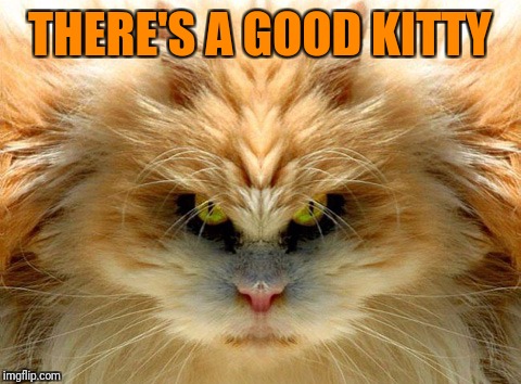 THERE'S A GOOD KITTY | made w/ Imgflip meme maker