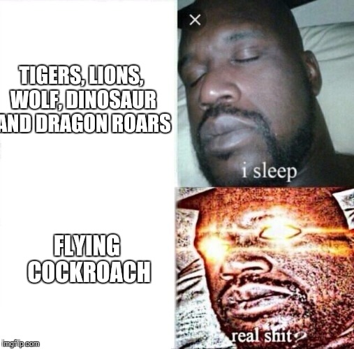 Sleeping Shaq | TIGERS, LIONS, WOLF, DINOSAUR AND DRAGON ROARS; FLYING COCKROACH | image tagged in i sleep,real shit | made w/ Imgflip meme maker