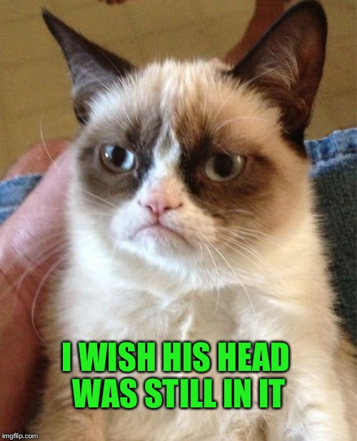 Grumpy Cat Meme | I WISH HIS HEAD WAS STILL IN IT | image tagged in memes,grumpy cat | made w/ Imgflip meme maker