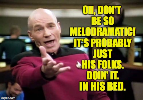 Picard Wtf Meme | OH, DON'T BE SO MELODRAMATIC! IT'S PROBABLY JUST HIS FOLKS. DOIN' IT. IN HIS BED. | image tagged in memes,picard wtf | made w/ Imgflip meme maker