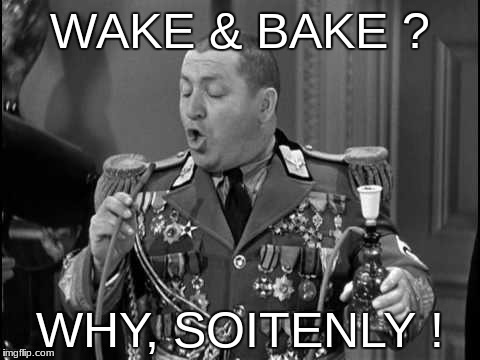WAKE & BAKE ? WHY, SOITENLY ! | image tagged in wake bake curly | made w/ Imgflip meme maker