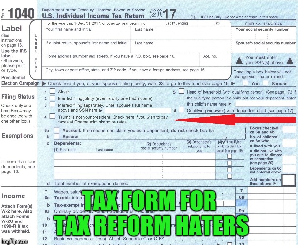 Check line 4 | TAX FORM FOR TAX REFORM HATERS | image tagged in tax,tax form,pipe_picasso,trump,obama | made w/ Imgflip meme maker