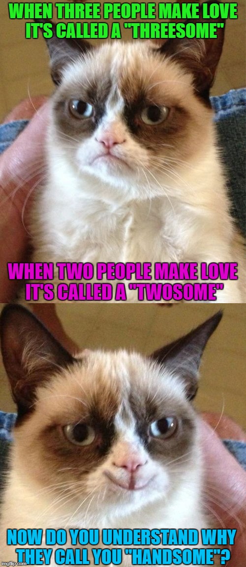 Now you know the truth!!! |  WHEN THREE PEOPLE MAKE LOVE IT'S CALLED A "THREESOME"; WHEN TWO PEOPLE MAKE LOVE IT'S CALLED A "TWOSOME"; NOW DO YOU UNDERSTAND WHY THEY CALL YOU "HANDSOME"? | image tagged in grumpy cat,memes,grumpy cat smiling,funny,handsome,all alone | made w/ Imgflip meme maker
