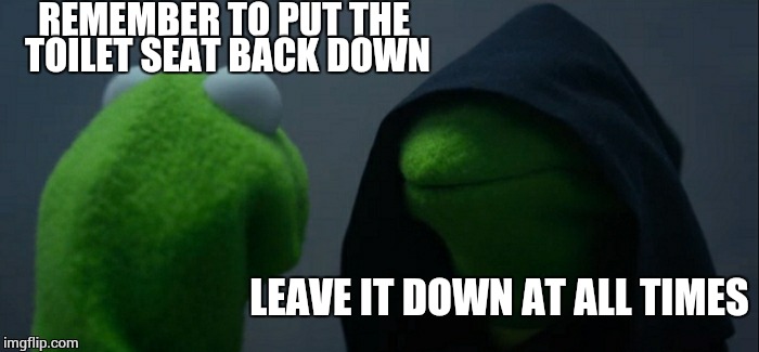 Evil Kermit Meme | REMEMBER TO PUT THE TOILET SEAT BACK DOWN LEAVE IT DOWN AT ALL TIMES | image tagged in memes,evil kermit | made w/ Imgflip meme maker