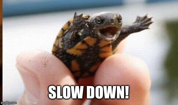 SLOW DOWN! | made w/ Imgflip meme maker