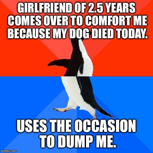 Socially Awesome Awkward Penguin Meme | GIRLFRIEND OF 2.5 YEARS COMES OVER TO COMFORT ME BECAUSE MY DOG DIED TODAY. USES THE OCCASION TO DUMP ME. | image tagged in memes,socially awesome awkward penguin | made w/ Imgflip meme maker