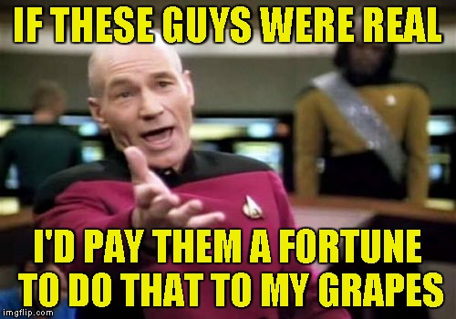 Picard Wtf Meme | IF THESE GUYS WERE REAL I'D PAY THEM A FORTUNE TO DO THAT TO MY GRAPES | image tagged in memes,picard wtf | made w/ Imgflip meme maker