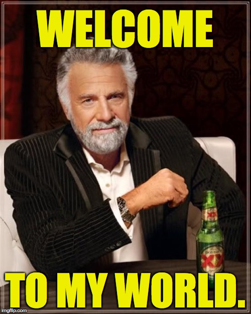 The Most Interesting Man In The World Meme | WELCOME TO MY WORLD. | image tagged in memes,the most interesting man in the world | made w/ Imgflip meme maker