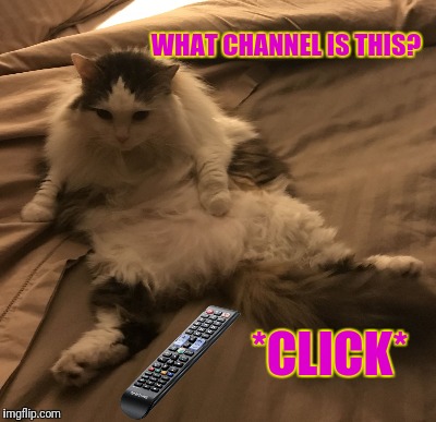 WHAT CHANNEL IS THIS? *CLICK* | made w/ Imgflip meme maker