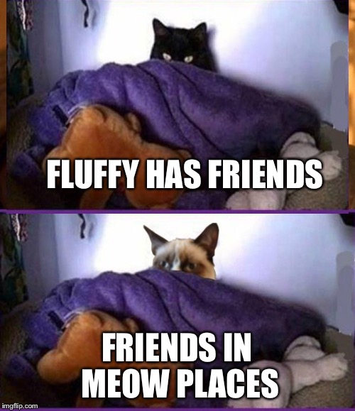FLUFFY HAS FRIENDS FRIENDS IN MEOW PLACES | made w/ Imgflip meme maker