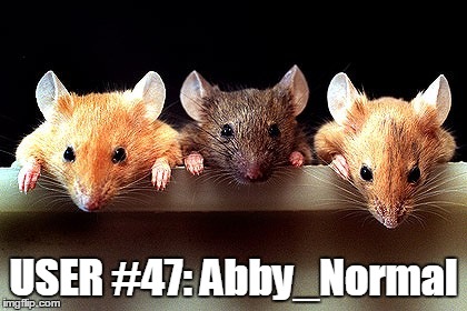 3 mice | USER #47: Abby_Normal | image tagged in 3 mice | made w/ Imgflip meme maker