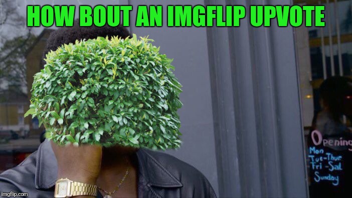 HOW BOUT AN IMGFLIP UPVOTE | made w/ Imgflip meme maker