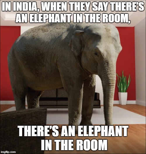 Elephant In The Room Imgflip