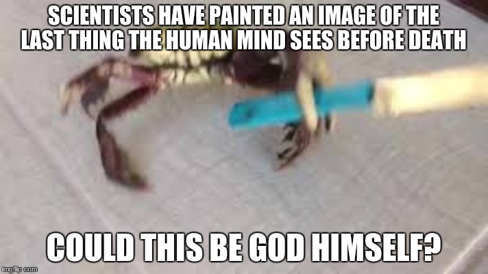 I've gone too far, haven't I? | SCIENTISTS HAVE PAINTED AN IMAGE OF THE LAST THING THE HUMAN MIND SEES BEFORE DEATH; COULD THIS BE GOD HIMSELF? | image tagged in dank memes,god | made w/ Imgflip meme maker
