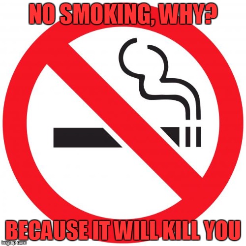 No smoking | NO SMOKING, WHY? BECAUSE IT WILL KILL YOU | image tagged in no smoking | made w/ Imgflip meme maker