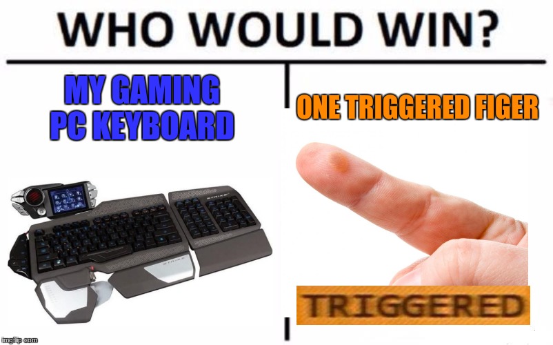 bam bam bam bam moooom my finger hurts!!!?!?! | MY GAMING PC KEYBOARD; ONE TRIGGERED FIGER | image tagged in memes,who would win,triggered,keyboard,finger | made w/ Imgflip meme maker