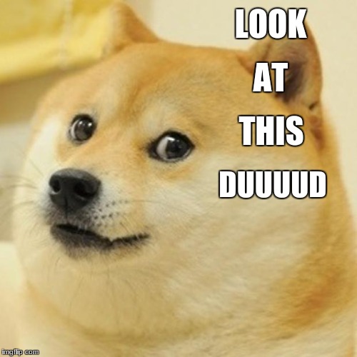 look at this dude | LOOK; AT; THIS; DUUUUD | image tagged in memes,doge | made w/ Imgflip meme maker