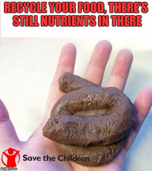 Save the children | RECYCLE YOUR FOOD, THERE'S STILL NUTRIENTS IN THERE | image tagged in save the earth | made w/ Imgflip meme maker