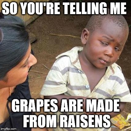 Third World Skeptical Kid Meme | SO YOU'RE TELLING ME GRAPES ARE MADE FROM RAISENS | image tagged in memes,third world skeptical kid | made w/ Imgflip meme maker