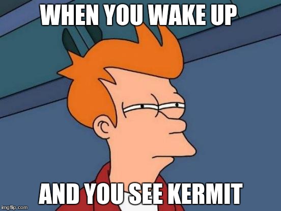Futurama Fry Meme | WHEN YOU WAKE UP; AND YOU SEE KERMIT | image tagged in memes,futurama fry | made w/ Imgflip meme maker