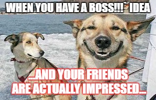 Original Stoner Dog | WHEN YOU HAVE A BOSS!!!` IDEA; ...AND YOUR FRIENDS ARE ACTUALLY IMPRESSED... | image tagged in memes,original stoner dog | made w/ Imgflip meme maker