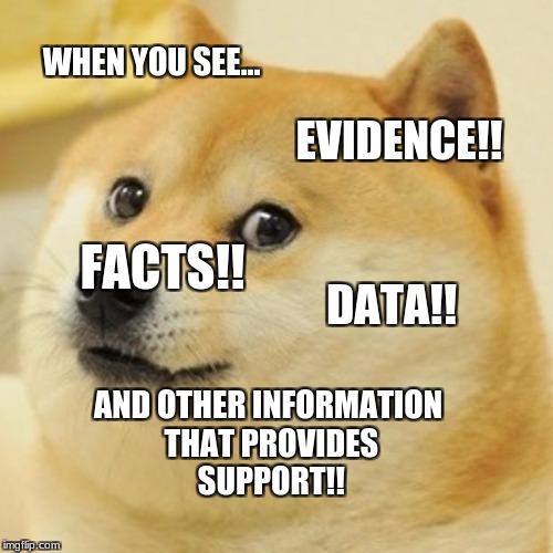 Doge Meme | WHEN YOU SEE... EVIDENCE!! FACTS!! DATA!! AND OTHER INFORMATION THAT PROVIDES SUPPORT!! | image tagged in memes,doge | made w/ Imgflip meme maker