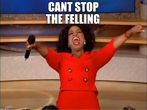 Oprah You Get A | THE FELLING; CANT STOP | image tagged in memes,oprah you get a | made w/ Imgflip meme maker