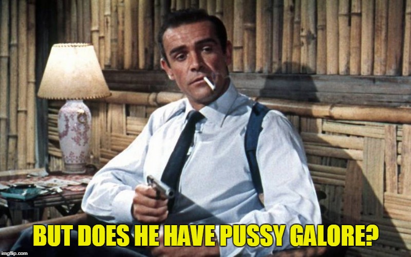 BUT DOES HE HAVE PUSSY GALORE? | made w/ Imgflip meme maker