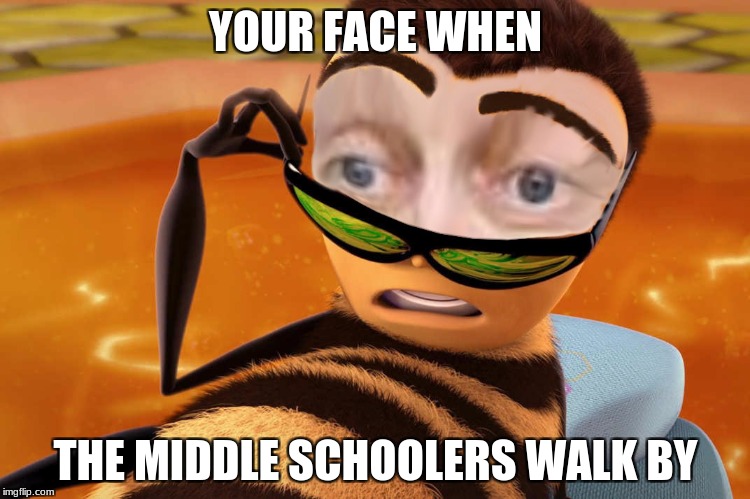 your face when custom | YOUR FACE WHEN; THE MIDDLE SCHOOLERS WALK BY | image tagged in steve beescemi,memes,your face when,dad,pedophile,girls | made w/ Imgflip meme maker