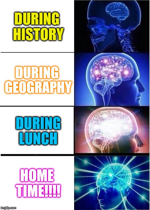 my school day
 | DURING HISTORY; DURING GEOGRAPHY; DURING LUNCH; HOME TIME!!!! | image tagged in memes,expanding brain | made w/ Imgflip meme maker
