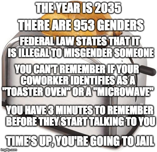 Misgendered | image tagged in meme,funny memes,transgender,gender,future | made w/ Imgflip meme maker